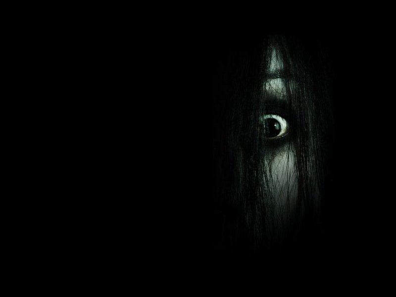 The Grudge – O Grito: A Franquia de Terror (2004 a 2009).