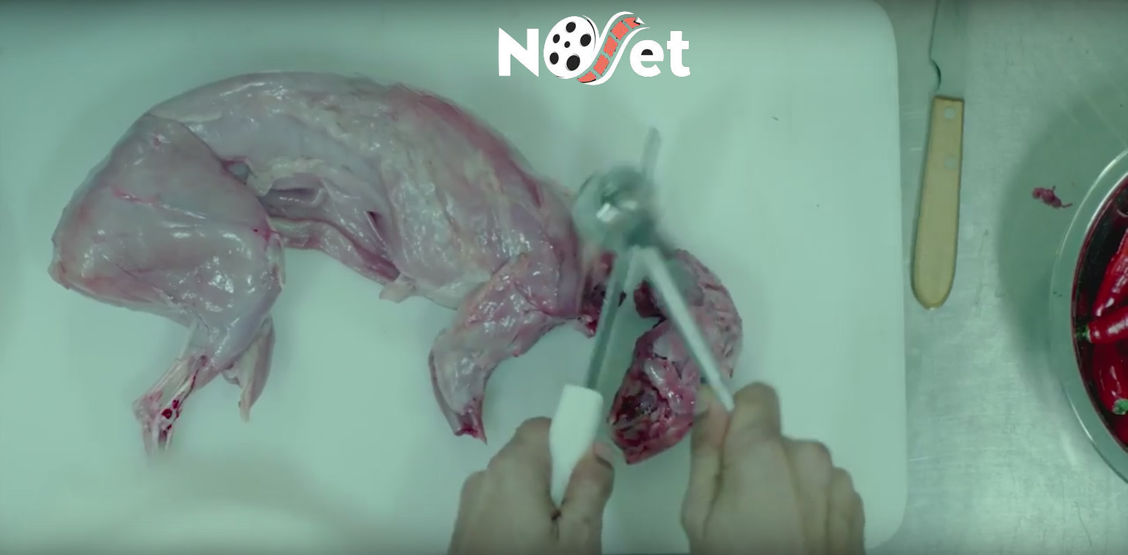 O animal cordial. Teaser revela sangue e horror no novo filme com Camila Morgado e Murilo Benício.