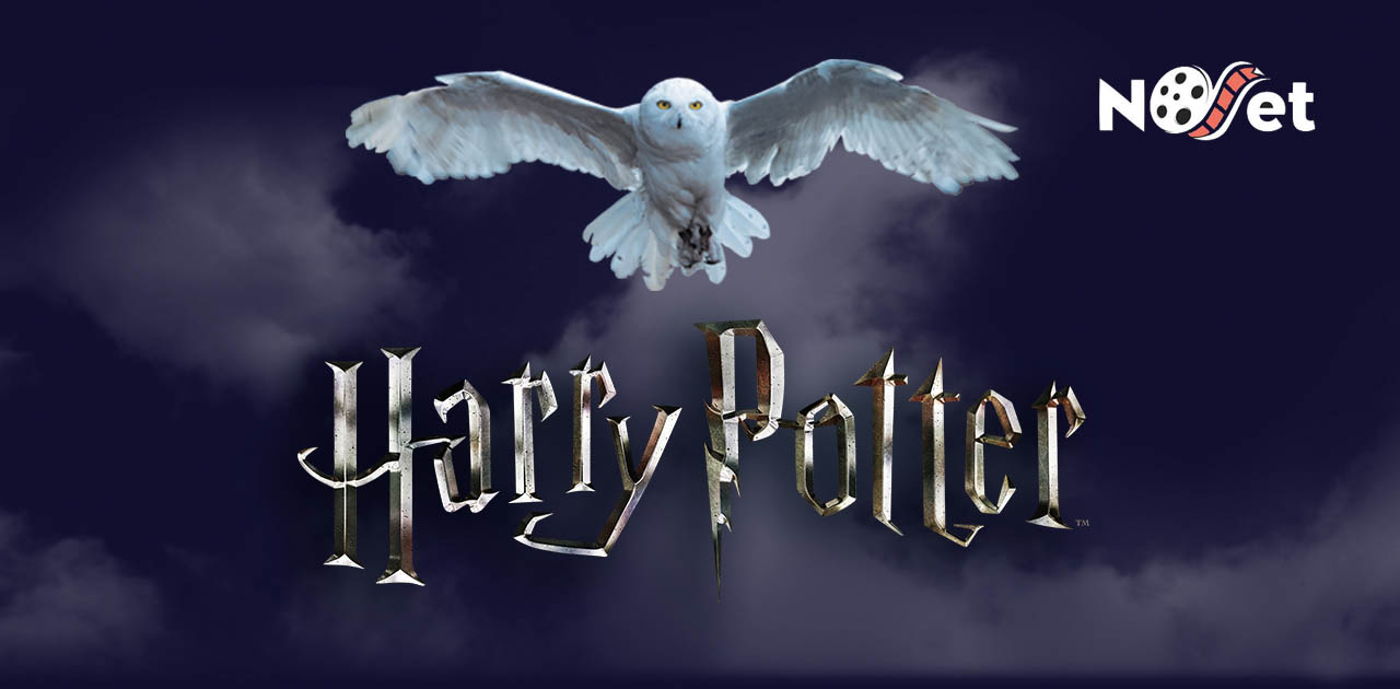 Loja online com produtos da franquia Harry Potter é sucesso total.