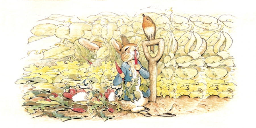 Sobre coelhos travessos – “As Aventuras de Pedro Coelho”