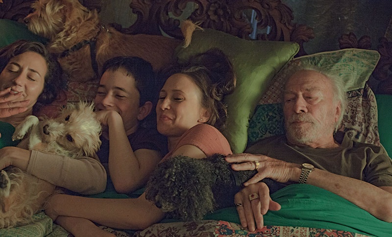 Limites – Filme sessão da tarde politicamente incorreto