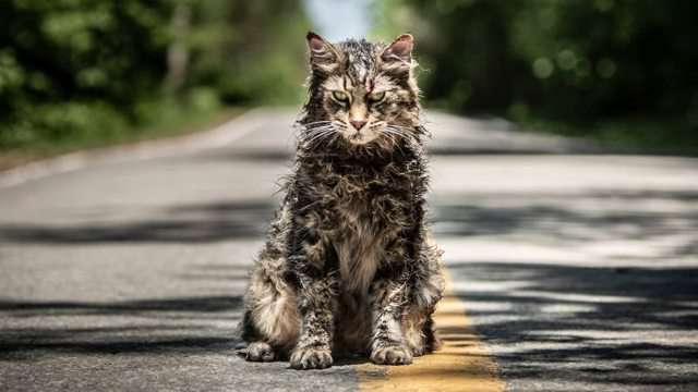 Cemitério Maldito: O Remake clássico de Stephen King ganha primeiro trailer