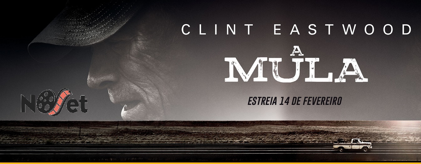 A Mula