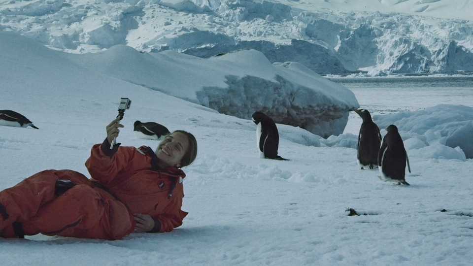 Documentário “Antártica Por Um Ano”, que estreia dia 16 de maio, ganha seu primeiro trailer