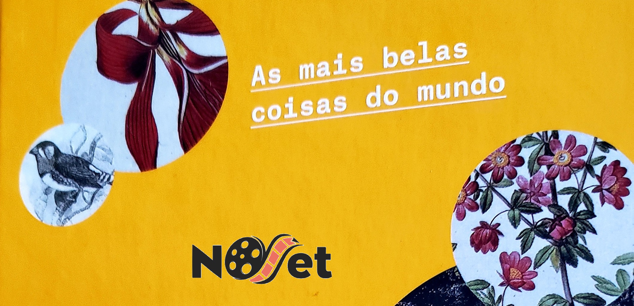 As mais belas coisas do mundo