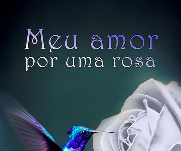 A poesia alimenta o coração – “Meu amor por uma rosa”