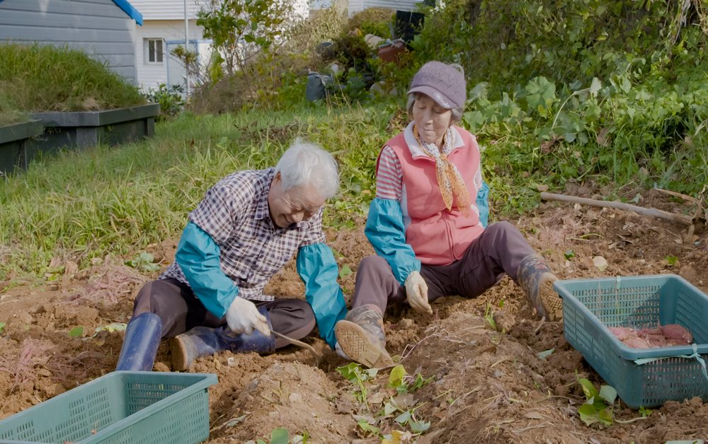 Meu Amor – Seis Histórias de Amor Verdadeiro: Nova série documental da Netflix, estreia dia 13 de abril