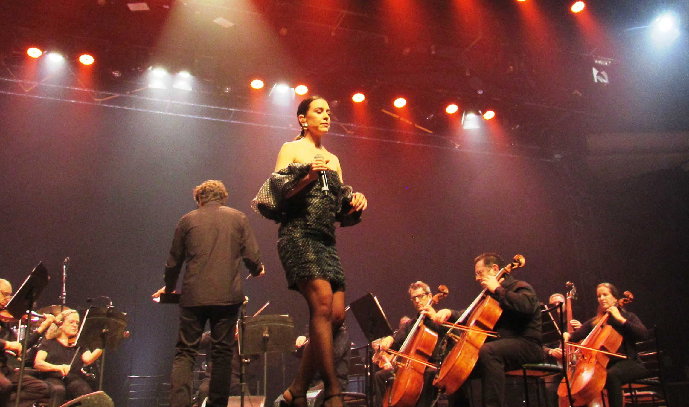 Roberta Sá e Orquesta da Ulbra apresentam Clássicos do Samba no Araújo Vianna