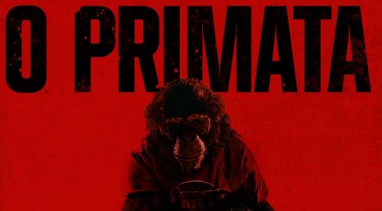 “Primate”: novo terror da Paramount mostra ataque mortal de chimpanzé infectado